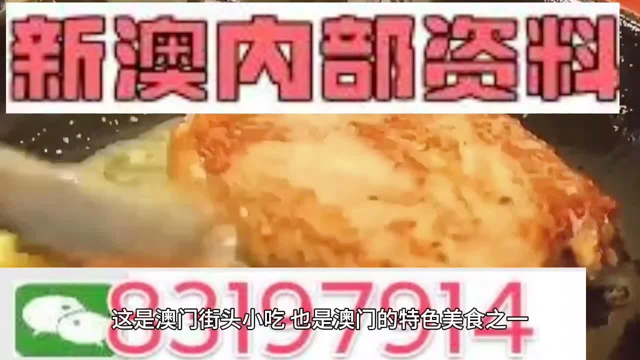 新澳门精准的资料大全,精选资料解析大全