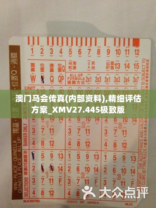 正版马会传真资料内部,精选资料解析大全