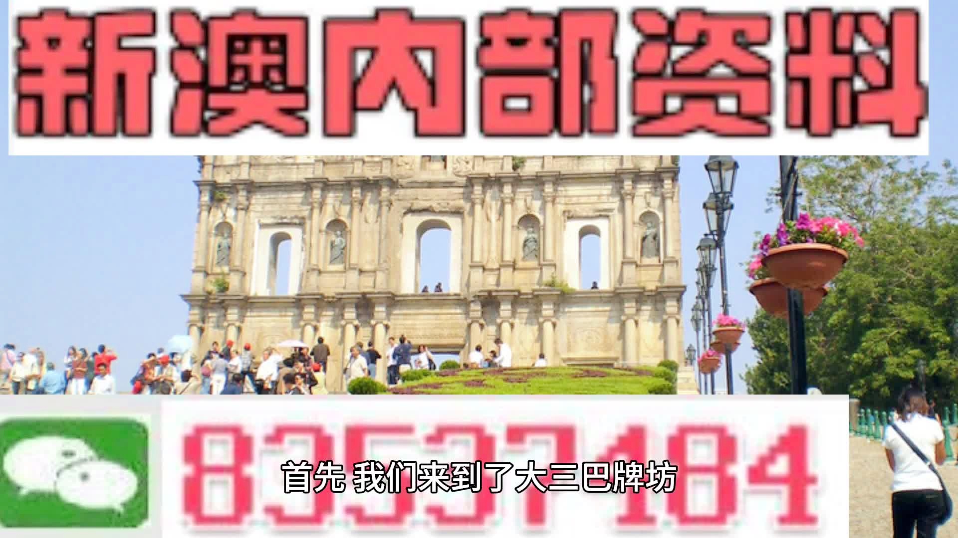 2025新澳精准正版资料,精选资料解析大全