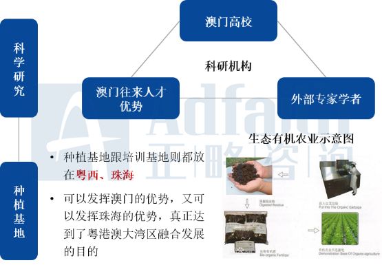 资讯 第199页