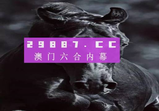 新澳门开码记录,新澳门开码记录，探索与解析