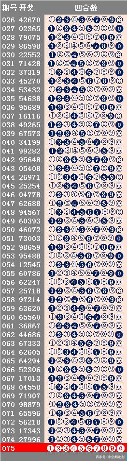 20024新澳天天开好彩大全160期,新澳彩票20024期天天开好彩大全第160期深度解析